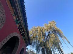 -晋祠公园