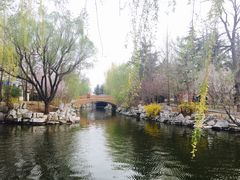-莱西月湖公园