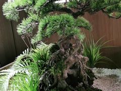 -湘邻呷铺·田园家宴(汉基广场店)