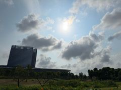 -春花秋色城市公园