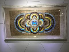 -上海昆虫博物馆