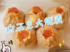 -白玉兰食品(中山公园龙之梦店)