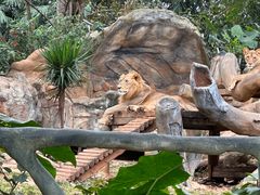 -海南热带野生动植物园