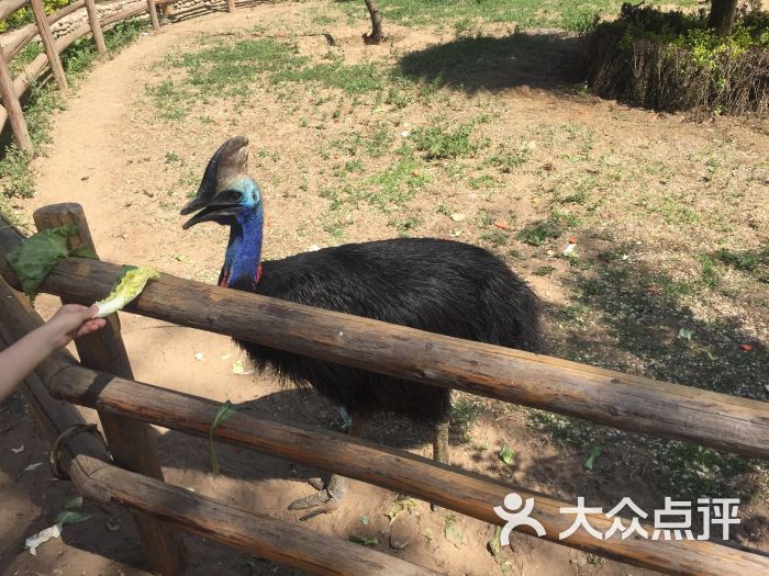 北京野生動物園圖片 - 第5357張