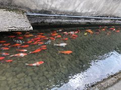 -前童古镇