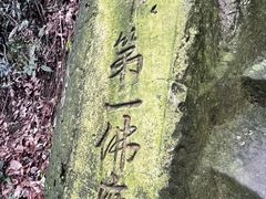 -大金鹰园