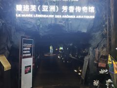 -花之城