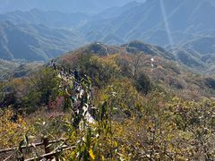 -大岭沟猕猴桃谷风景区