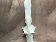 -土砂锅生态山庄·非遗砂锅雅鱼