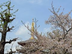 -浅草寺