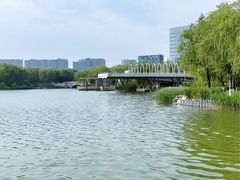 -大兴滨河森林公园