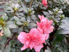 -成都杜甫草堂博物馆