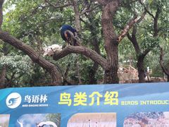 -大连老虎滩海洋公园