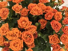 -摩登百货(岗顶店)