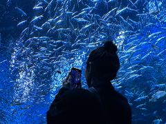 -海合安成都极地海洋公园