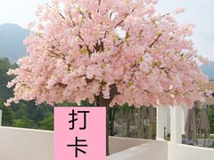 -黄山翡翠谷景区