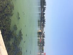 iphone_upload_pic-龙舟池