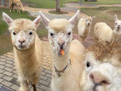 -南京金牛湖风景区