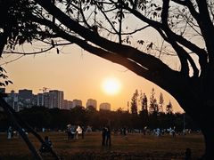 -万绿园