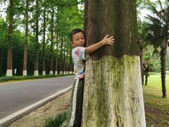 -黄海国家森林公园