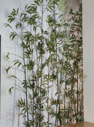 -凤绫儿亲子儿童摄影馆(天津店)