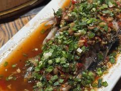 -老号尤兔头(幸福店)