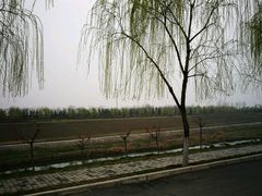 -洨河生态公园