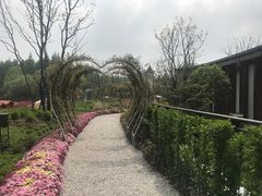 -东平国家森林公园
