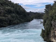 -怀托摩萤火虫洞