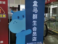 -盒马鲜生(大成店)