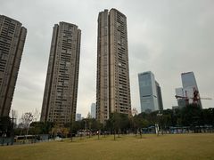 -重庆市江北嘴中央商务区中央公园
