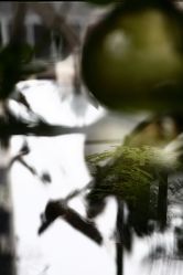 店内环境-老黑造型