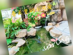 -国家五钻酒家·西樵旺阁渔村(西樵店)