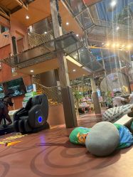 -卡通尼·Safari非洲探索乐园·生日会(金桥国际商业广场店)