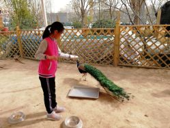 -萌宠亲子动物乐园(槐房万达店)