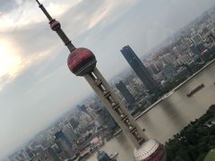 -金轩中餐厅 Jin Xuan(浦东丽思卡尔顿酒店)