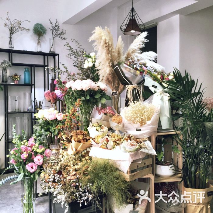 one piece 花店咖啡大堂图片 - 第21张