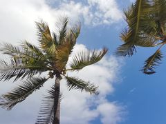 -三亚太阳湾柏悦酒店