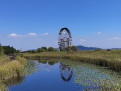 -太湖湖滨国家湿地公园-停车场