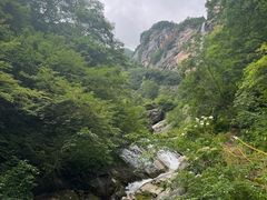 -青峰峡国家森林公园