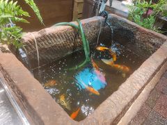 -汕头八合里海记牛肉店(清河店)