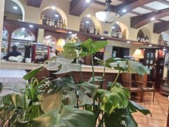 -维兰西餐(万泉河店)