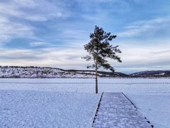 -北极村旅游风景区