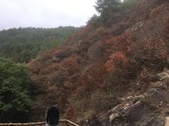 -木兰云雾山