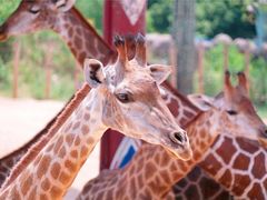 -杭州野生动物世界