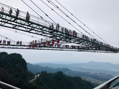 -梦幻奥陶纪景区