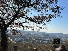 -灵岩山风景区