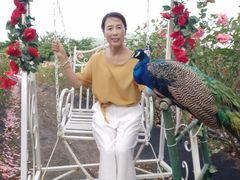 -亚龙湾国际玫瑰谷