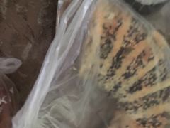 -美滋每客(太原龙湖苏宁百货店)