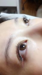 -BELLAREAL新美社
